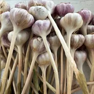 bawang putih