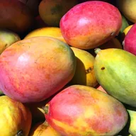 mangga