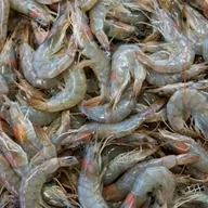 udang